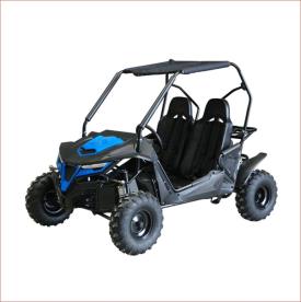 SIDE BY SIDE BUGGY  2 SEATER 210CC 4 STO