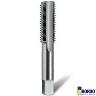 TAP 1/2 X 12 BOTTOM CHROME BSW