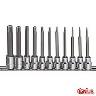 TORX SPLINE BIT SOCKET SET 3/8 11 PCE