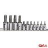 MULTI SPLINE BIT SET 11 PCE 3/8 & 1/2DR
