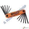 ALLEN KEY SET 12PCE COMBINATION