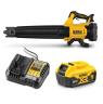 XR BLOWER AND 18V 5AH BATTERY KIT