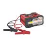 SMART BATTERY INVERTER CHARGER 10AMP