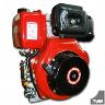 DIESEL ENGINE 10HP 25.4MM SHAFT
